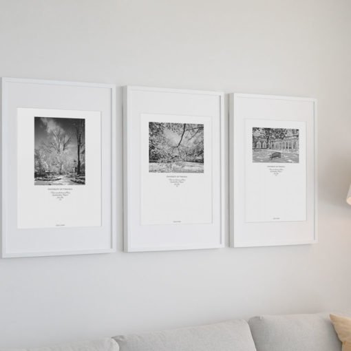 UVA-SnowGarden-Collection-Wall-Art Black & White Photography