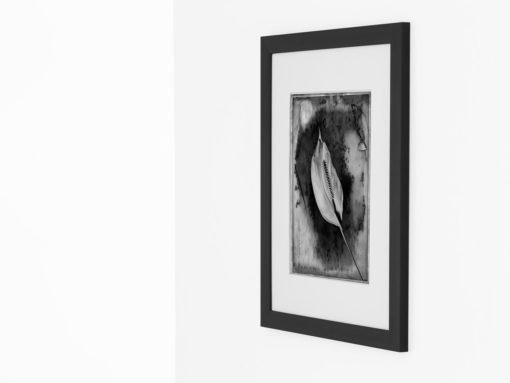 Calla-lily-print-photography-wall-art-galliani-collection-black-frame