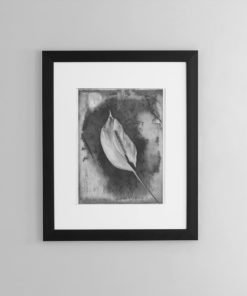 Calla-lily-print-photography-wall-art-galliani-collection-brown-frame- Black & White Photography