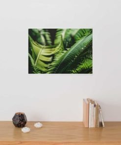 Fern-Plant-Leaves-in-the-Sun-Canvas-Wall-Art