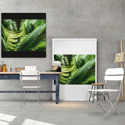 Fern-Plant-Leaves-in-the-Sun-Canvas-Wall-Art-Decor