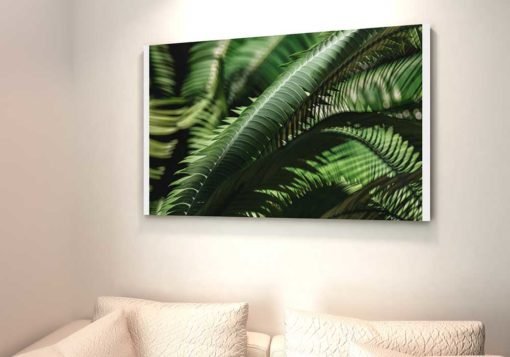 fern-leaves-wall-art-decor-canvas