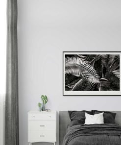 Fern-Plant-Standing-Leaves-Black-&-White-Canvas-Wall-Art black and white photography