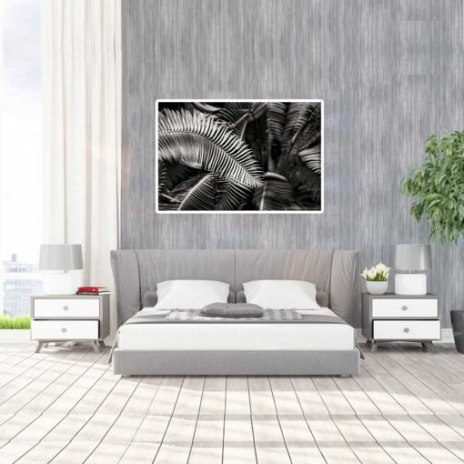 Fern-Plant-Standing-Leaves-Black-&-White-Canvas-Wall-Art--Large-Mount black and white photography