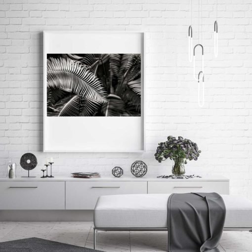 Fern-Plant-Standing-Leaves-Black-&-White-Canvas-Wall-Art-White-Frame black and white photography